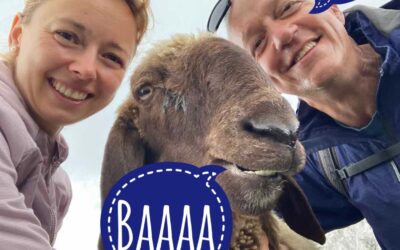 Školní rok 2025/26 – zápis zahájen! :-)